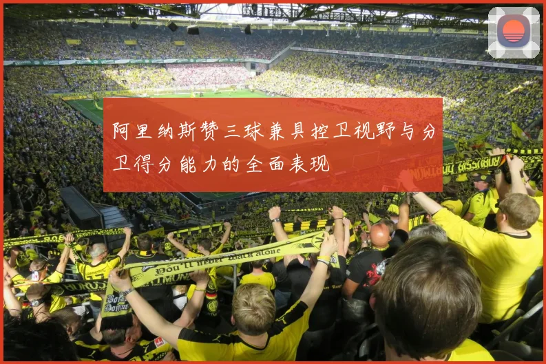 阿里纳斯赞三球兼具控卫视野与分卫得分能力的全面表现